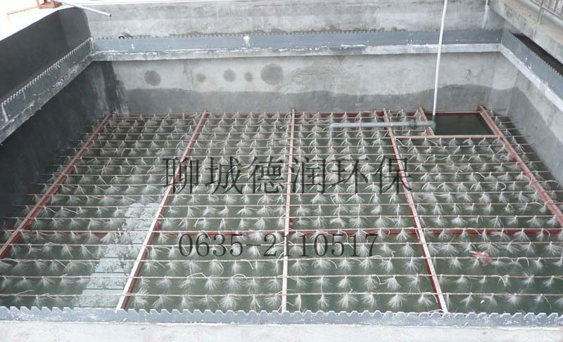 冠縣前進(jìn)集團(tuán)污水處理工程竣工，調(diào)試運(yùn)行效果顯著